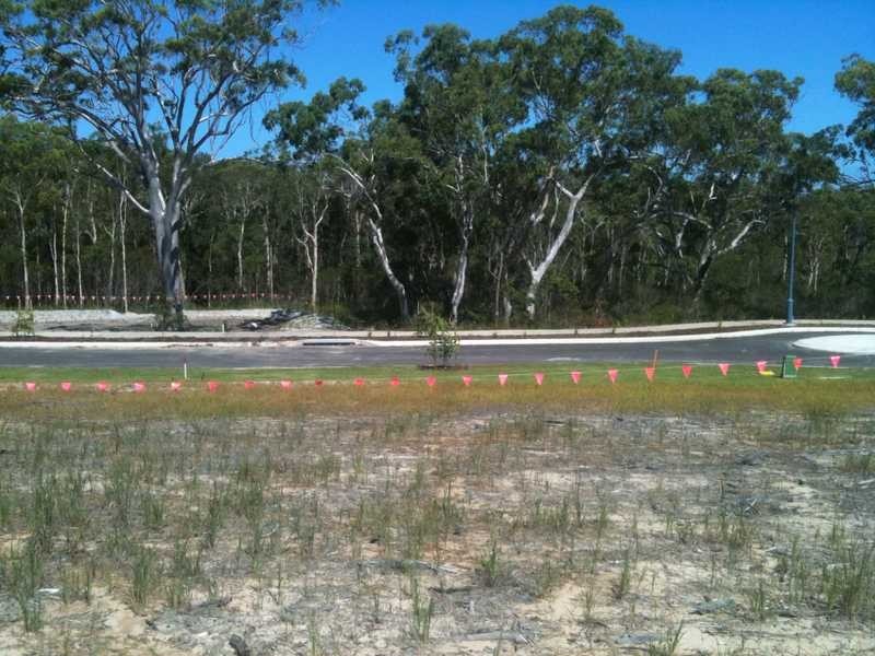 Lot 4406 Scribbly Gum Circuit, Peregian Springs QLD 4573