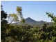 233 Ocean View Road, Cooroy QLD 4563