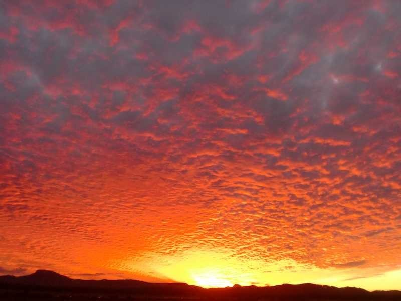 10 Wandaa Court, Coolum Beach QLD 4573