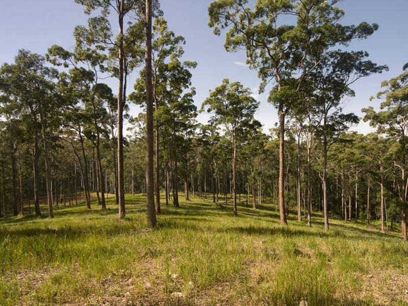 187 Allandale Road, Yandina Creek QLD 4561