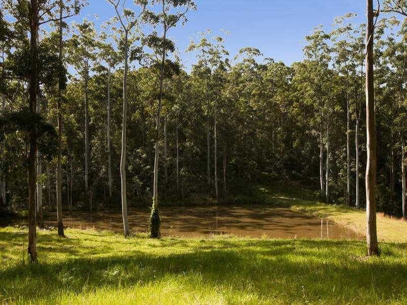 187 Allandale Road, Yandina Creek QLD 4561