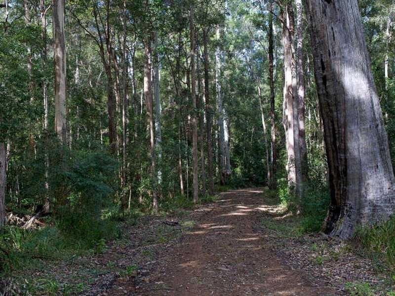 187 Allandale Road, Yandina Creek QLD 4561