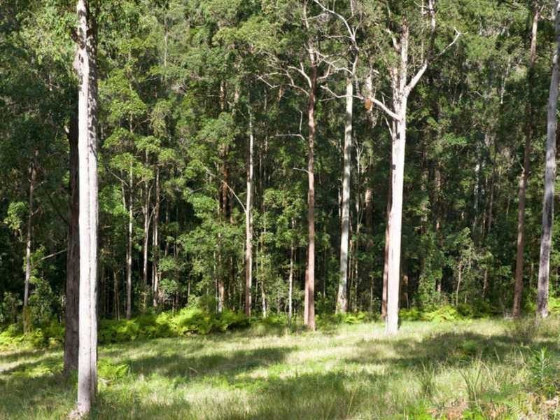 187 Allandale Road, Yandina Creek QLD 4561