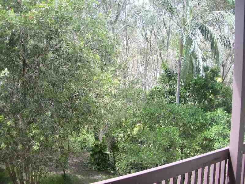 19 Yinneburra Street, Coolum Beach QLD 4573