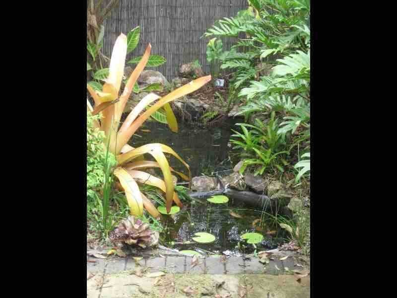 55 Centenary Heights Road, Coolum Beach QLD 4573