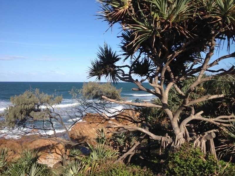 Unit 15/1682 David Low Way, Coolum Beach QLD 4573