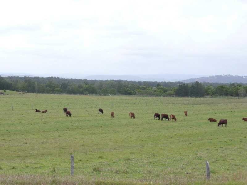 40 Skylark Street, Coolum Beach QLD 4573