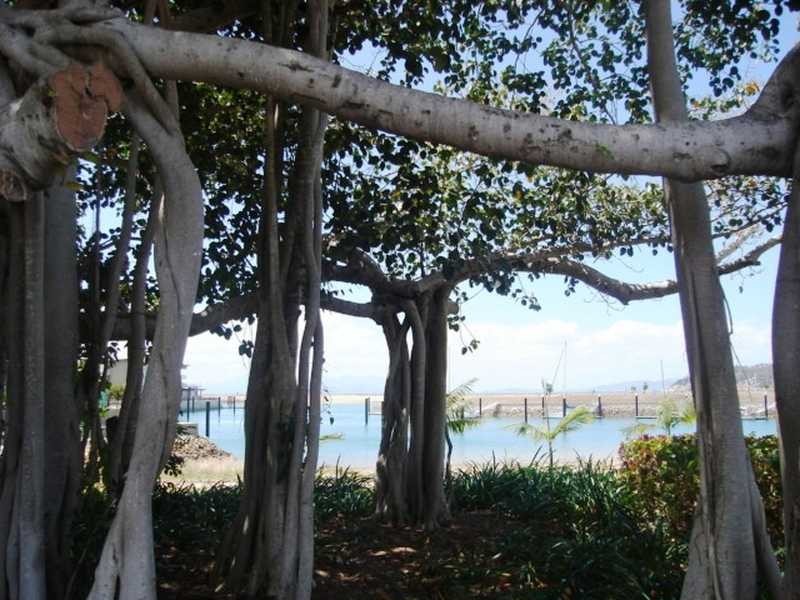 12 Osborn Court, Magnetic Island QLD 4819