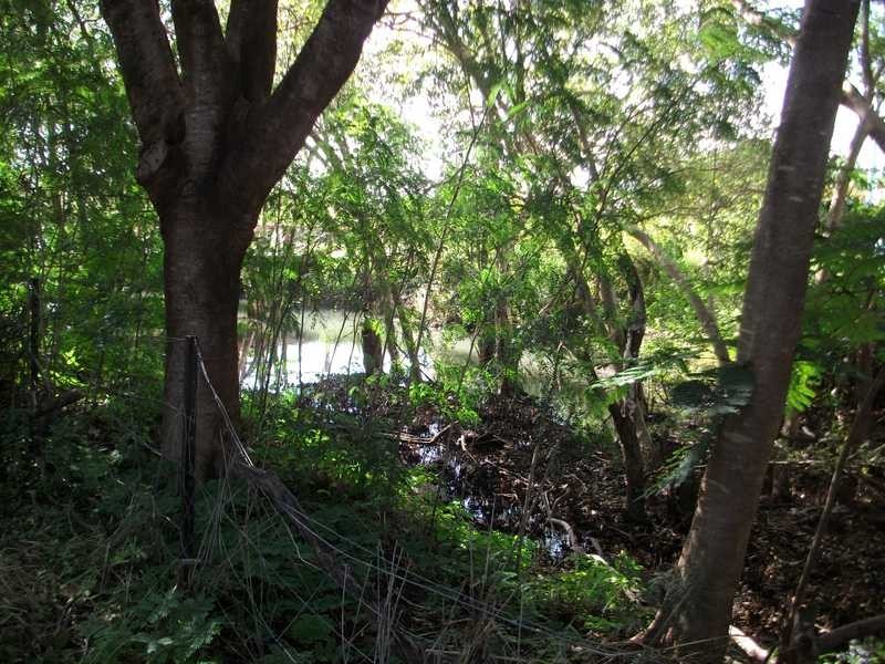 5 Whyte Street, Hermit Park QLD 4812