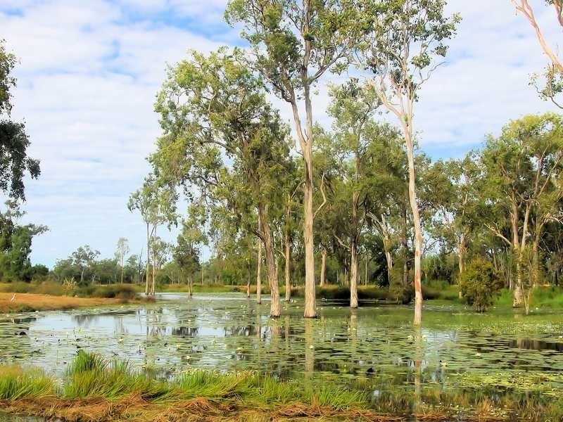 Lot 3 Woodfield Road, Gumlow QLD 4815