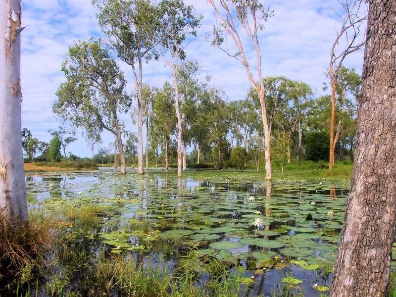 Lot 3 Woodfield Road, Gumlow QLD 4815