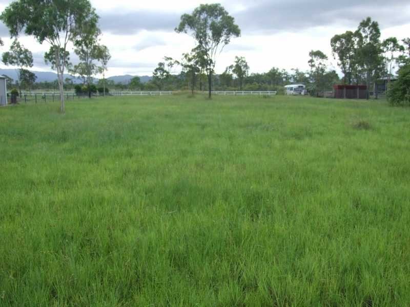 10 Greengum Court, Black River QLD 4818