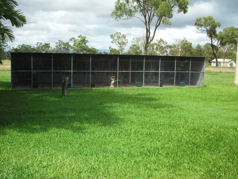 7 Holstein Place, Black River QLD 4818