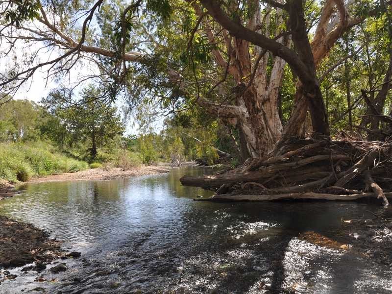 29 Alligator Creek Rd, Alligator Creek QLD 4816