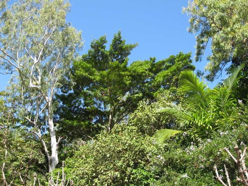 96 Mandalay Avenue, Magnetic Island QLD 4819