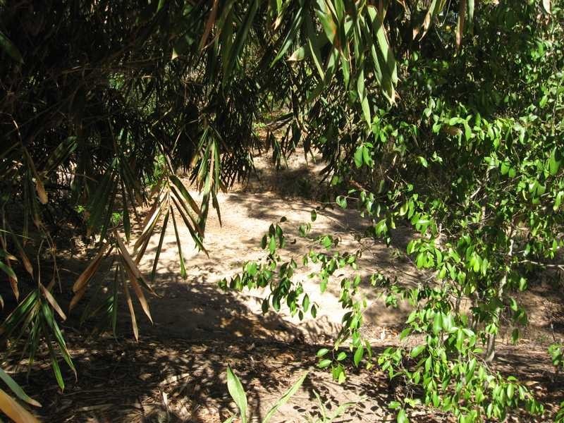 96 Mandalay Avenue, Magnetic Island QLD 4819