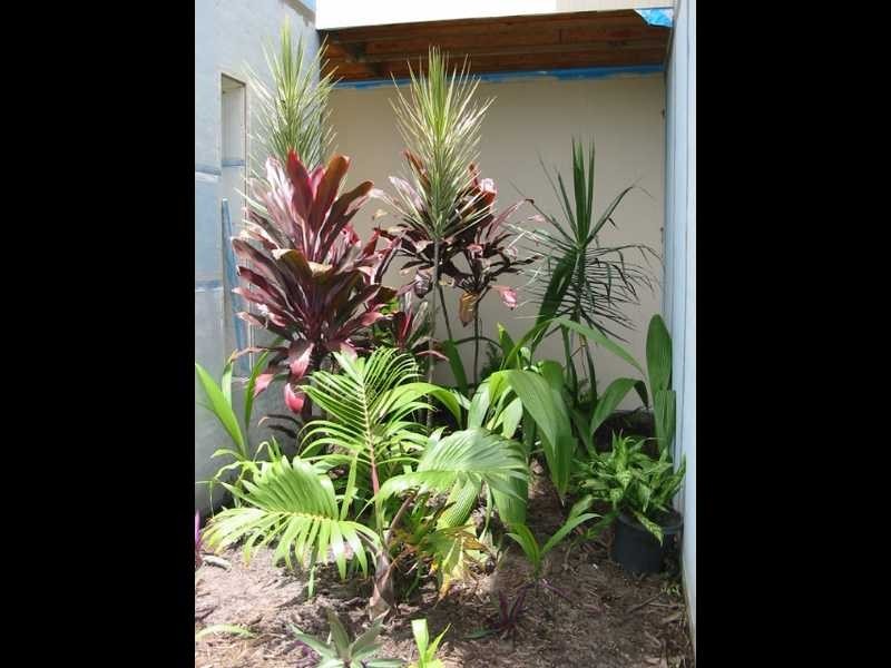 21 Cassia Crescent, Cardwell QLD 4849