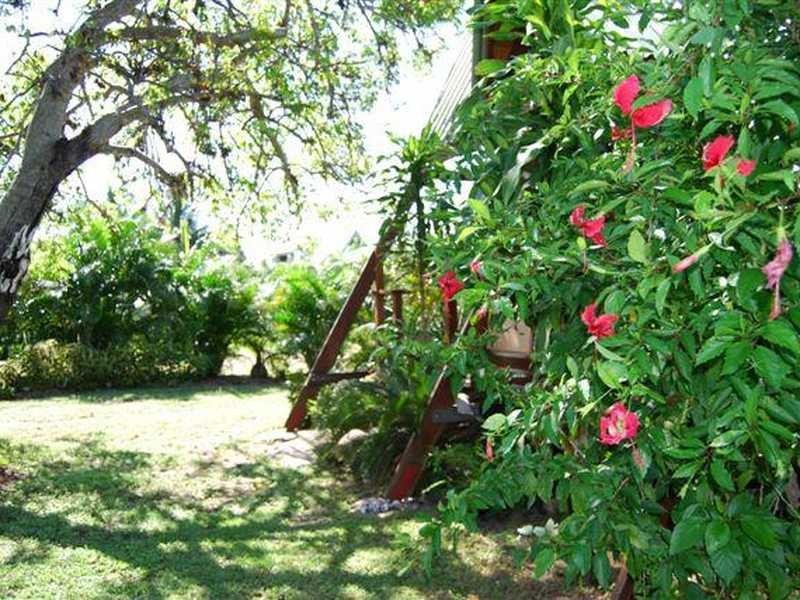 8 Somerset Court, Magnetic Island QLD 4819