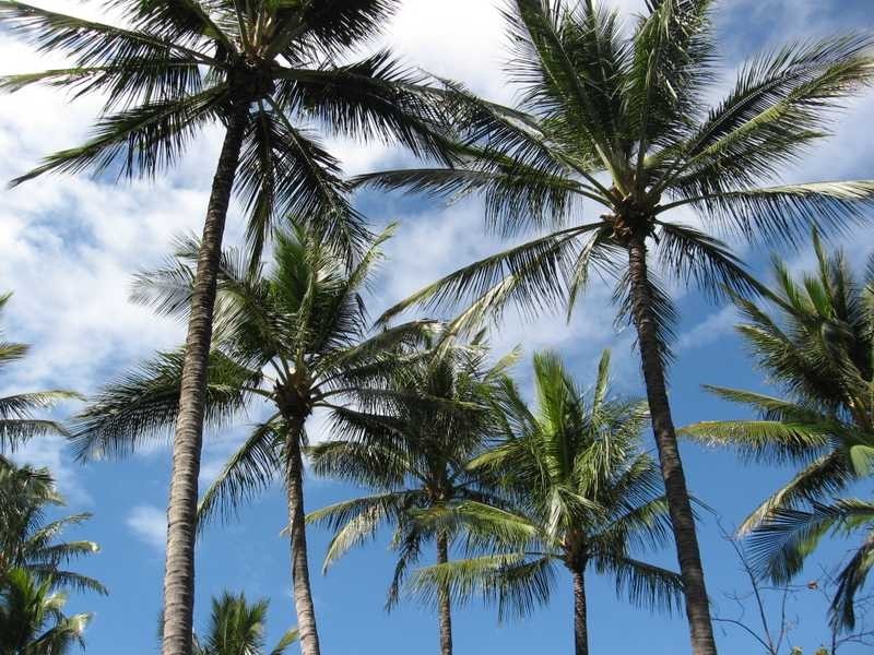 125/61 Mandalay Avenue, Magnetic Island QLD 4819