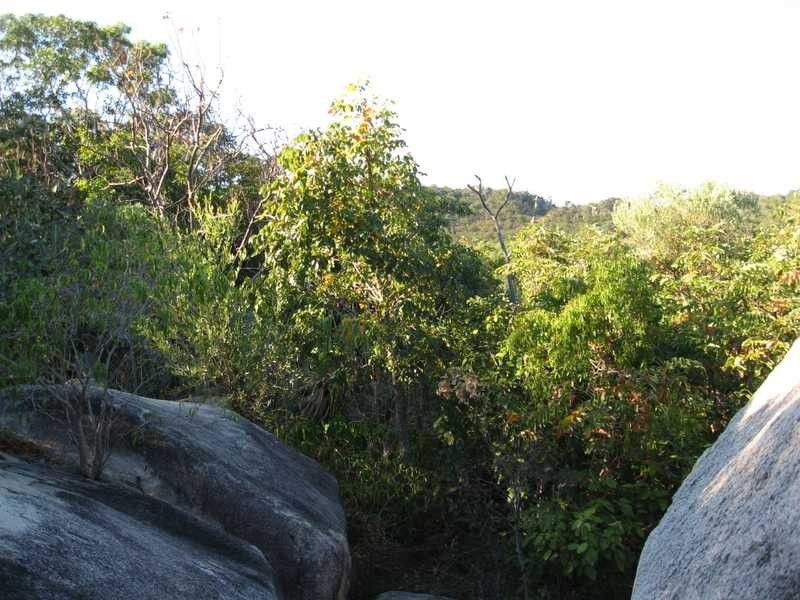 Lot 7 Nobby Headland, Magnetic Island QLD 4819