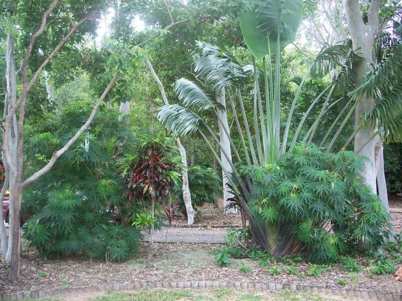 11 Winifred Street, Magnetic Island QLD 4819