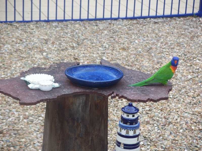 11 Winifred Street, Magnetic Island QLD 4819