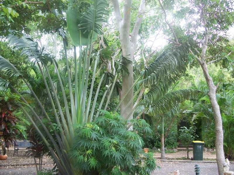 11 Winifred Street, Magnetic Island QLD 4819