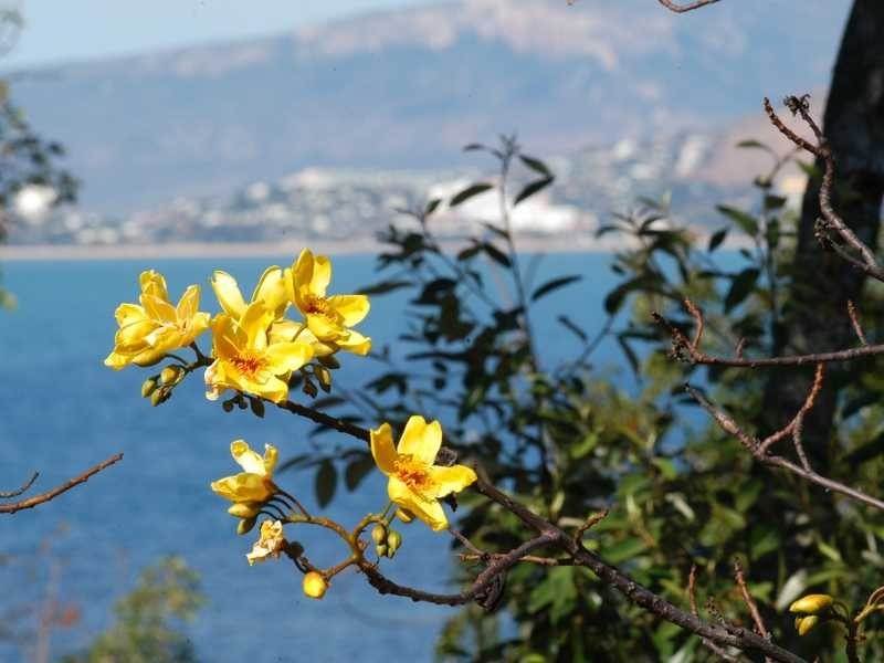 Lot 16 NOBBY HEADLAND, Magnetic Island QLD 4819