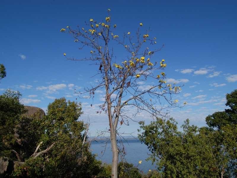 Lot 16 NOBBY HEADLAND, Magnetic Island QLD 4819