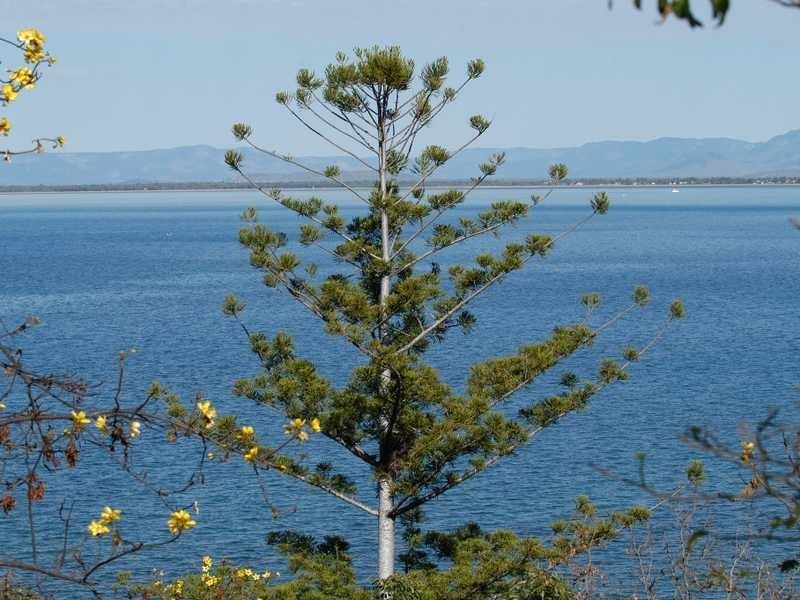 Lot 16 NOBBY HEADLAND, Magnetic Island QLD 4819