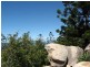 Lot 16 NOBBY HEADLAND, Magnetic Island QLD 4819