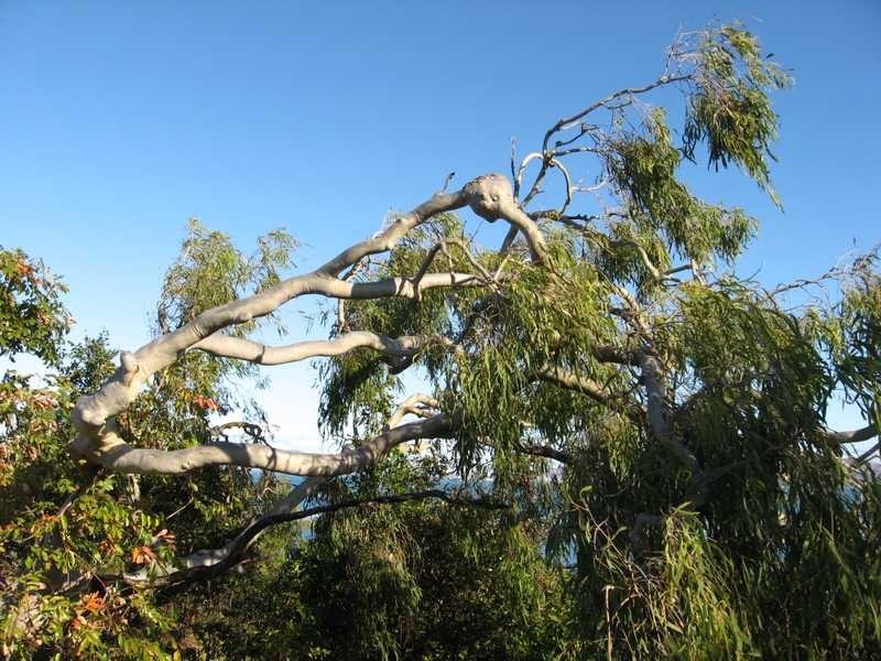 Lot 17 Nobby Headland, Magnetic Island QLD 4819