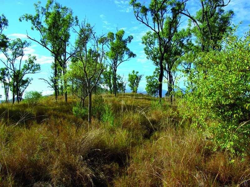 ‘Sanctuary Ridge’ Chisholm Trail, Oak Valley QLD 4811
