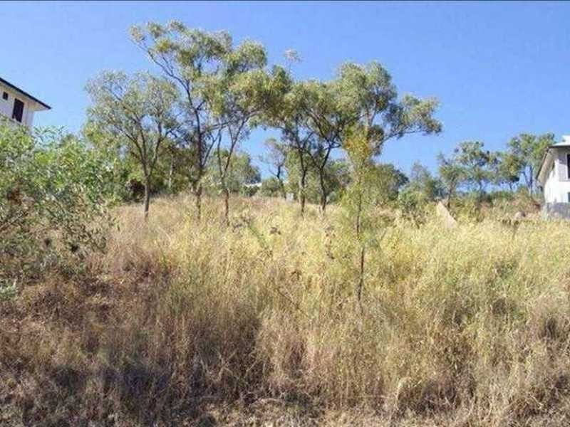 64 Yarrawonga Drive, Castle Hill QLD 4810