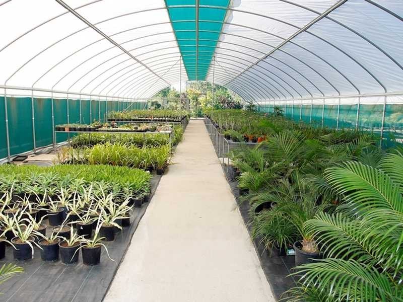 8 Alex Court, Alice River QLD 4817