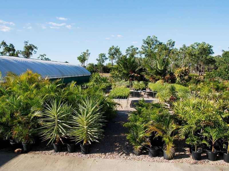 8 Alex Court, Alice River QLD 4817