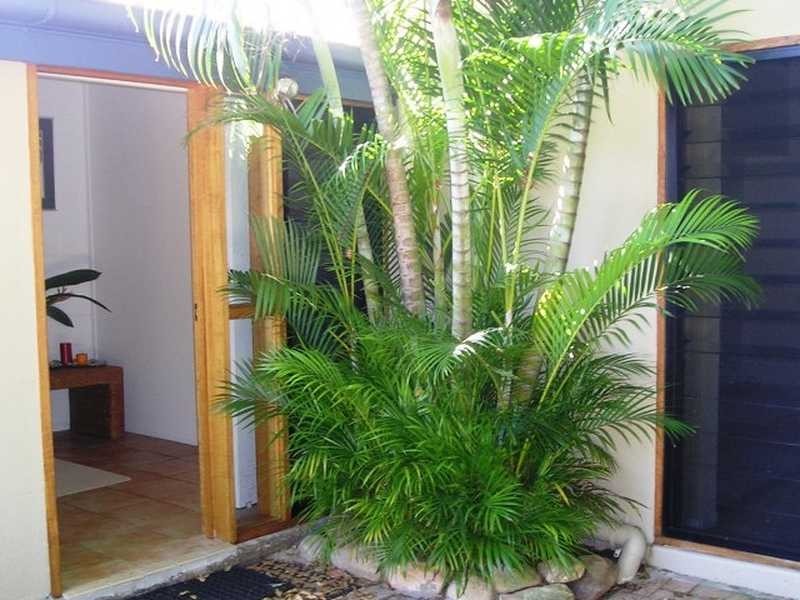 95 Cay Street, Saunders Beach QLD 4818