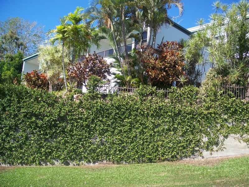 Unit 2/7 Hale Street, North Ward QLD 4810