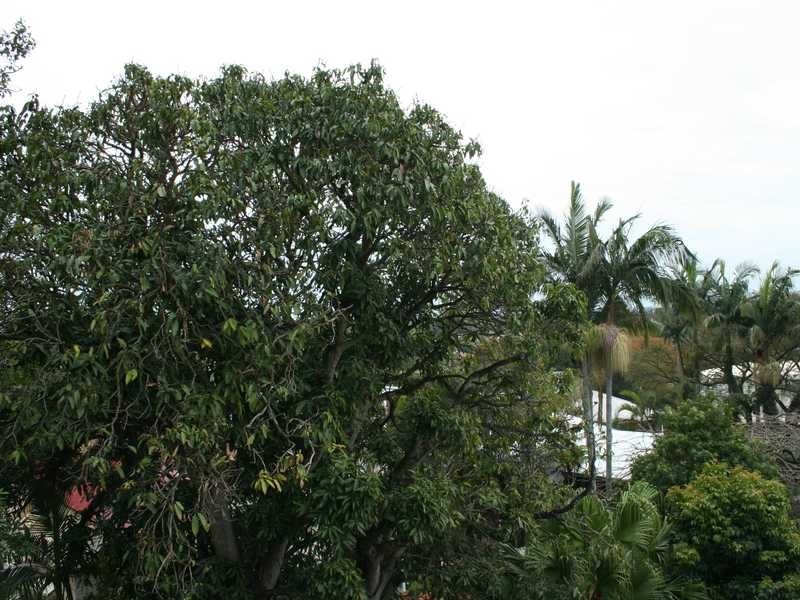 4/34 View Street, Wooloowin QLD 4030