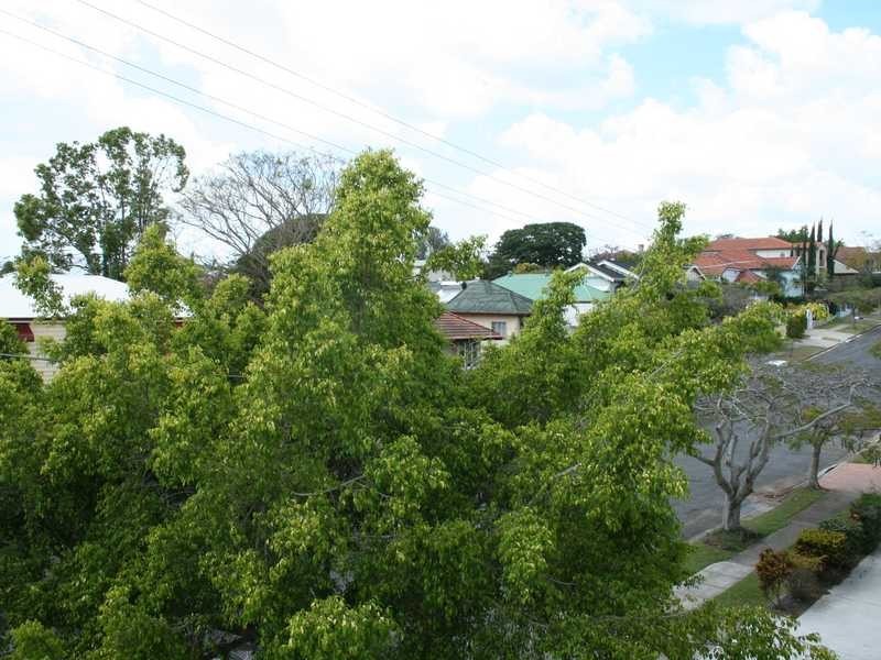 6/135 Oriel Road, Ascot QLD 4007