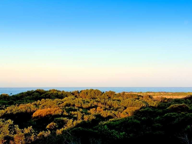 Unit 15/85 Broome Street, Maroubra NSW 2035