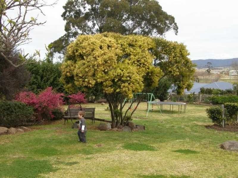 73 Wason Street, Milton NSW 2538