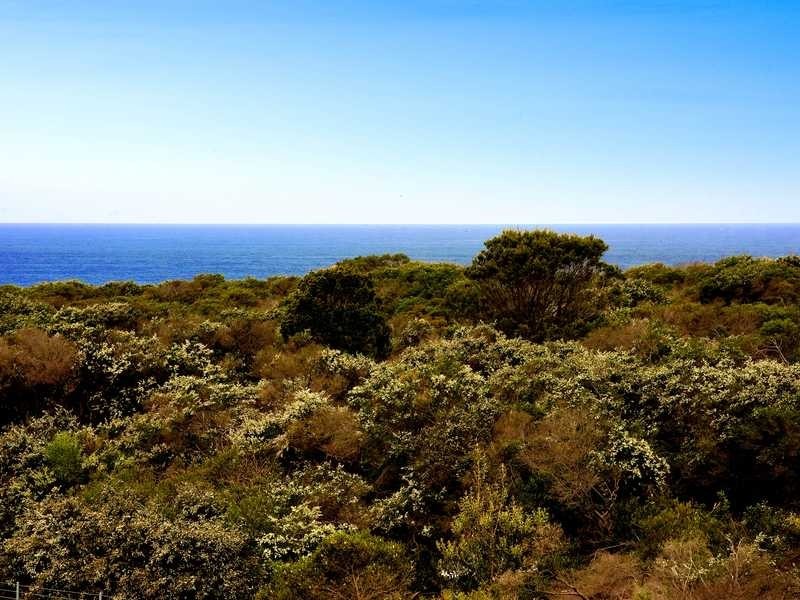 41/75 Broome Street, Maroubra NSW 2035