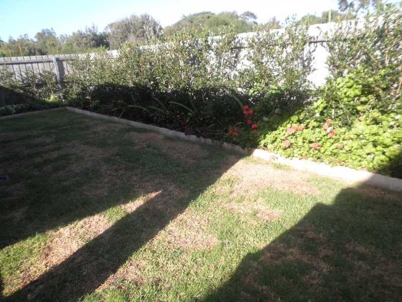 19 Esperance Close, Little Bay NSW 2036