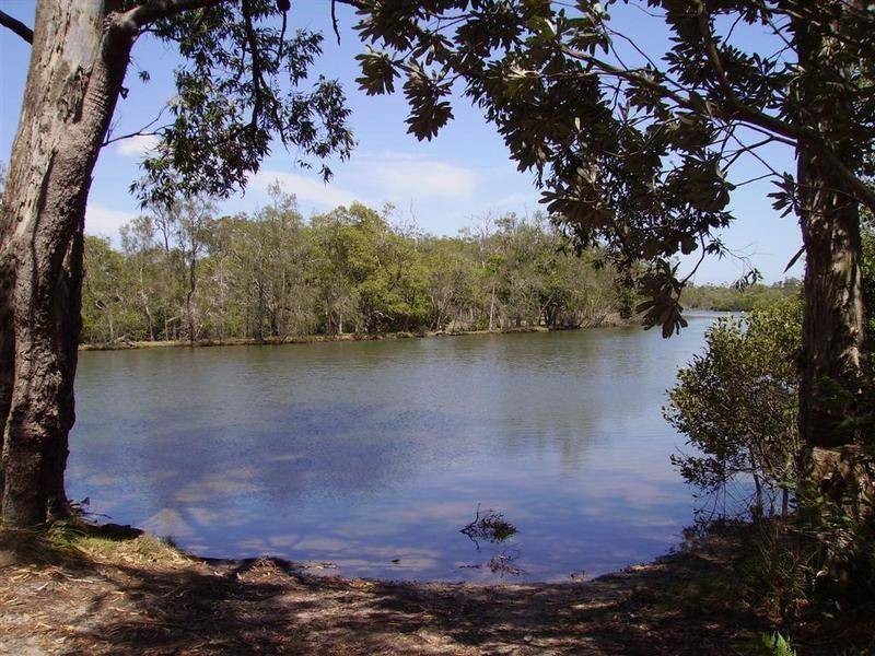 5 Annabelle Street, Pelican Waters QLD 4551