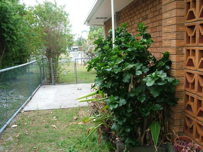 6 Monash Street, Golden Beach QLD 4551