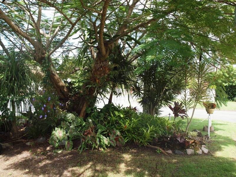 11 Churchill Street, Golden Beach QLD 4551