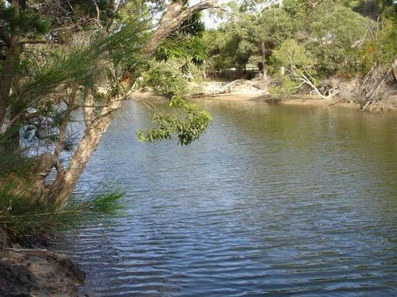 3 Fernleaf Court, Currimundi QLD 4551