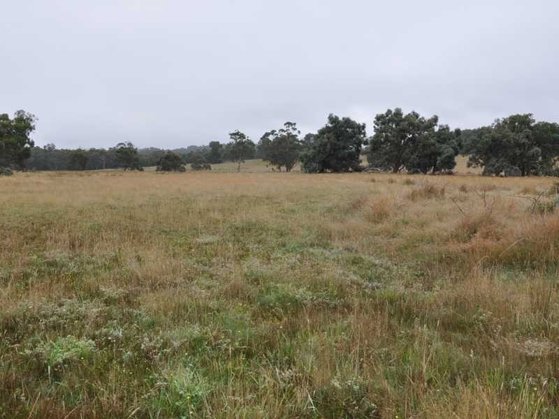 Lot 3 Taylors Road, Yellingbo VIC 3139