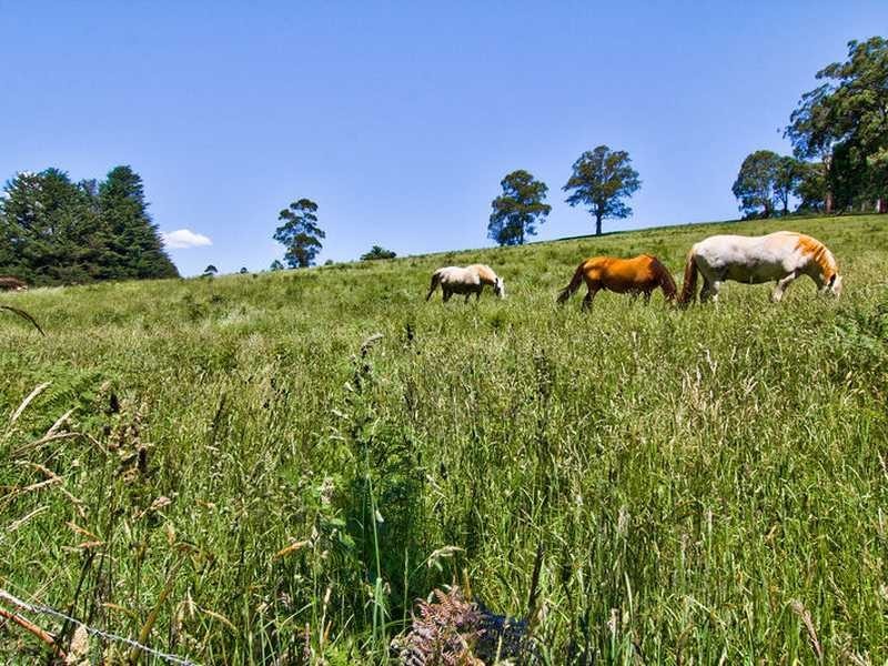 31 Harewood Park Road, Gembrook VIC 3783
